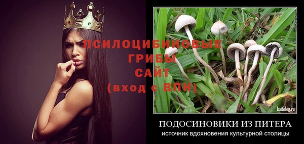 прущие крисы Медногорск