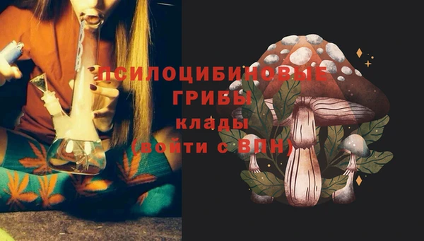 твердый Михайлов