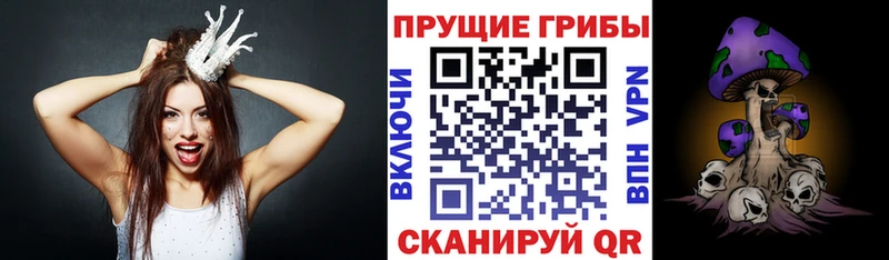 Галлюциногенные грибы Psilocybe  Новый Оскол 